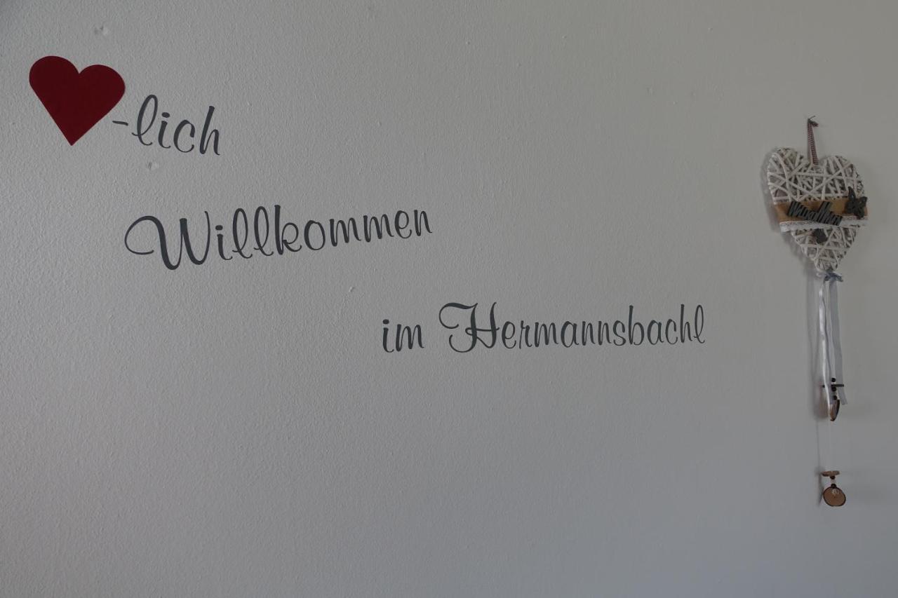 Am Hermannsbachl Bischofsmais Exterior photo